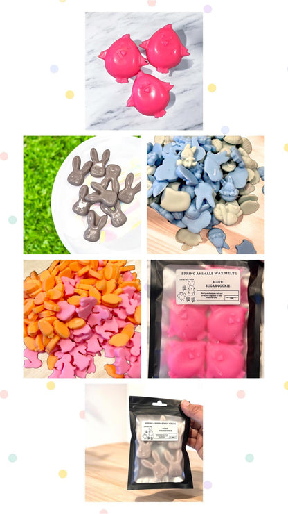 🌷🐣 Easter/ Spring Bagged (2oz) Wax Melts 🌷🐣   MOQ 12